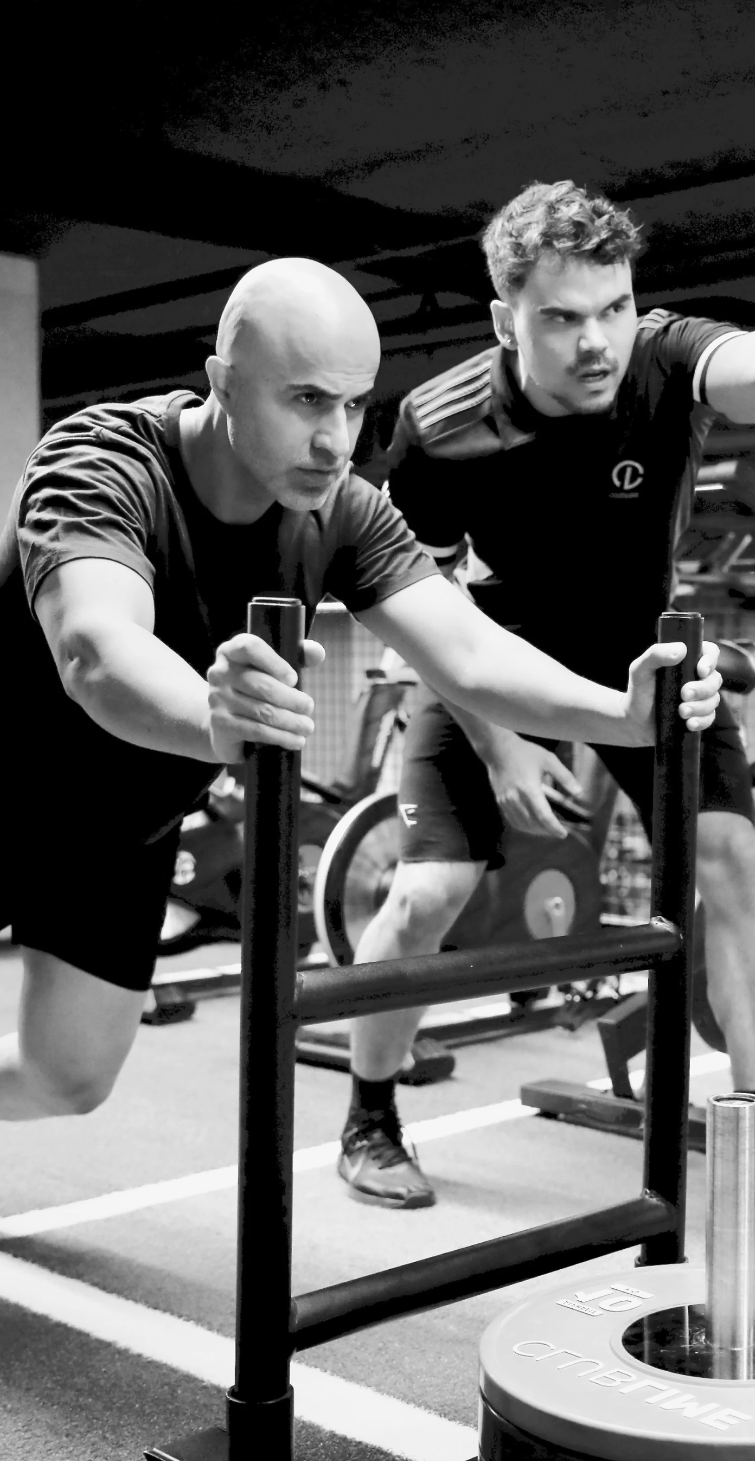 Members pushing a sled at Club Lime
